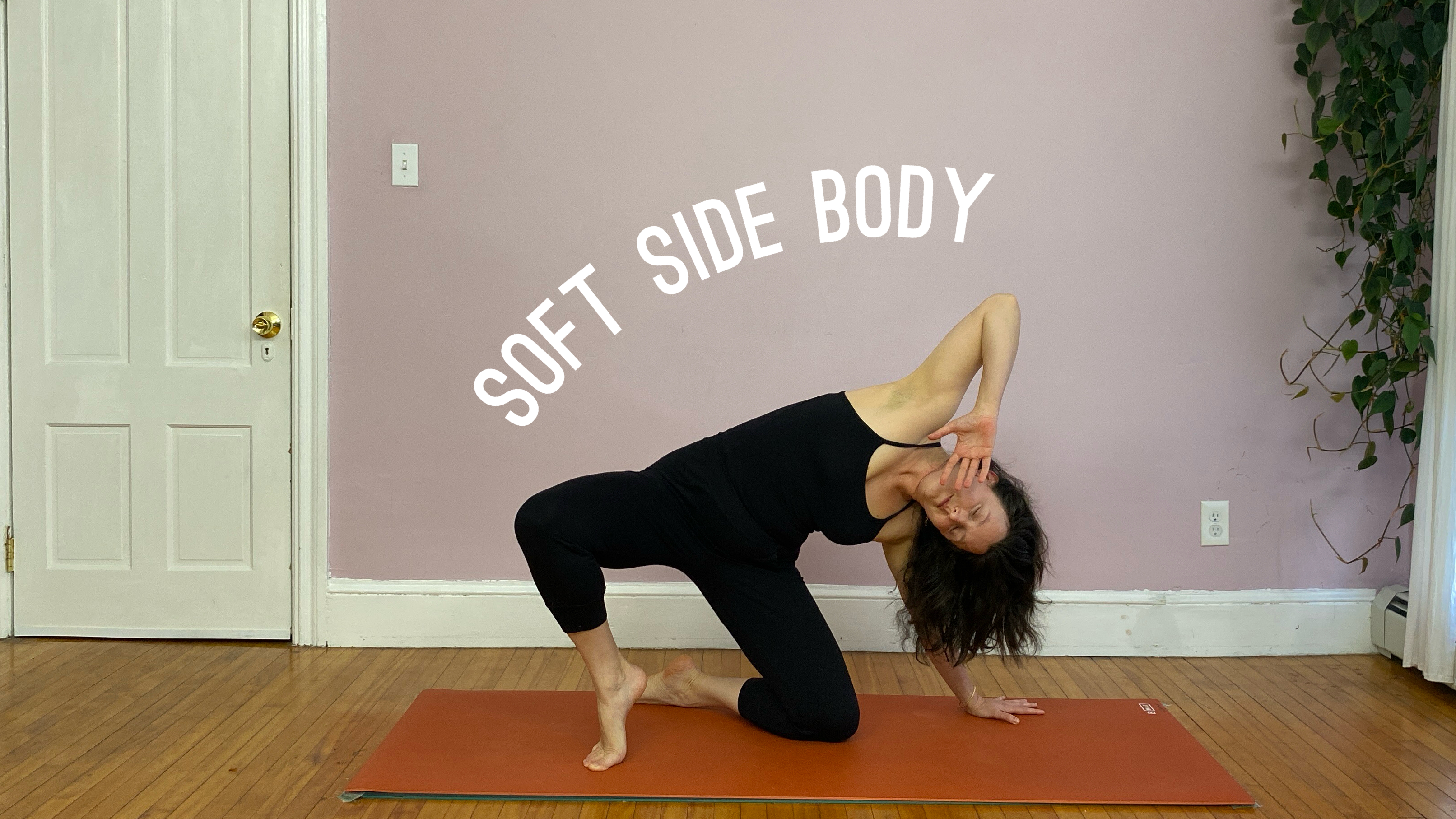 Soft Side Body