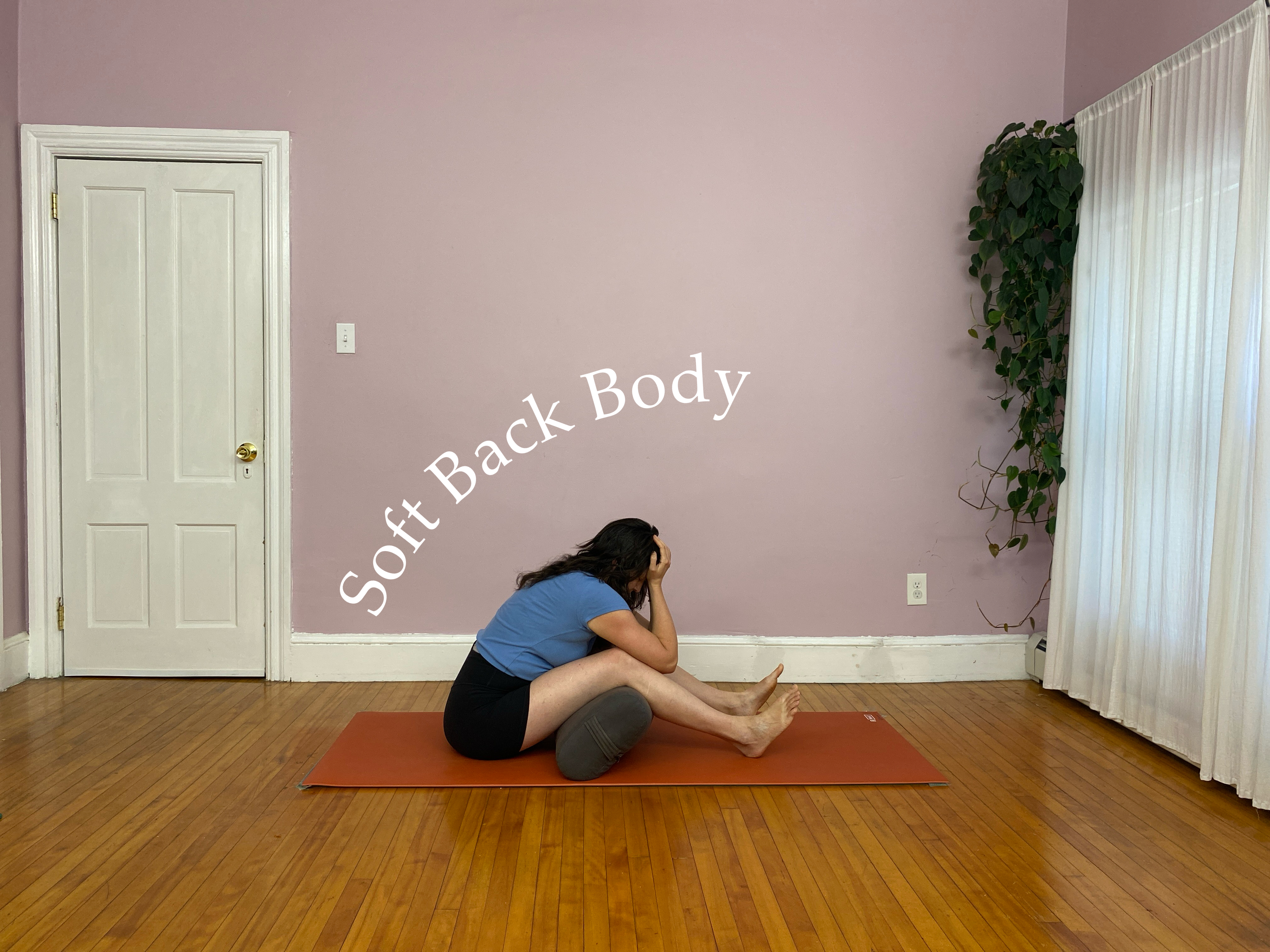 Soft Back Body
