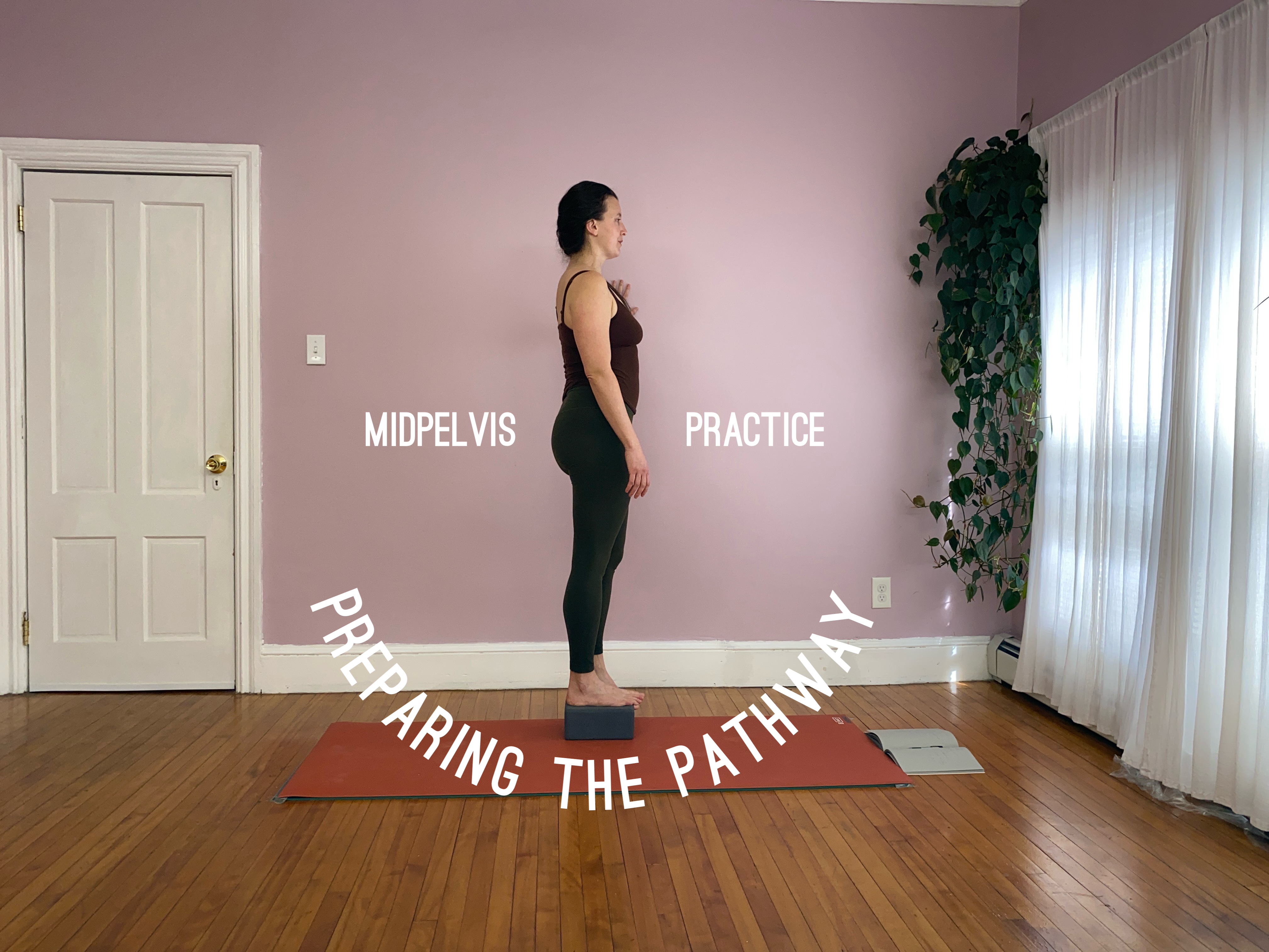 Preparing the Pathway: Midpelvis Practice