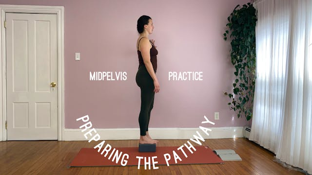 Preparing the Pathway: Midpelvis Prac...