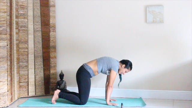Crow Flow