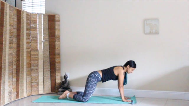 Flexibility - Prone