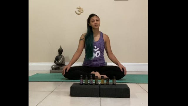 Journey through the Chakras