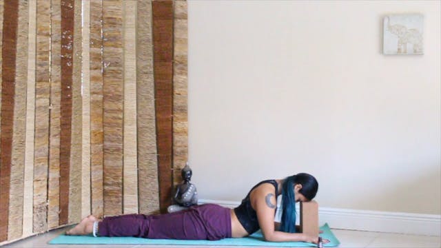 YIN - Seven directions of the spine
