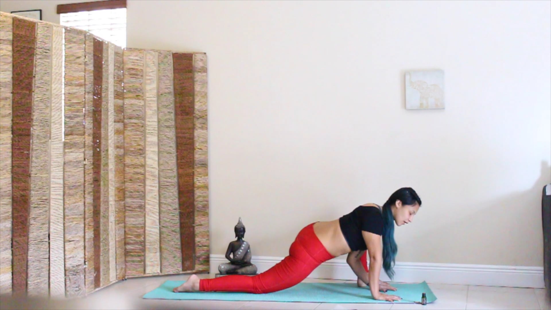 Hips - Flexibility