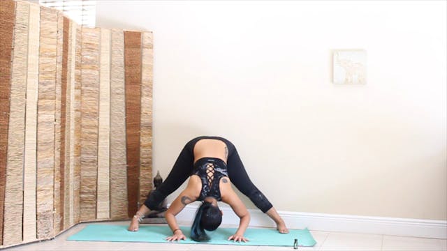 Malasana Flow