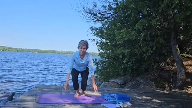 Shoulder mobility