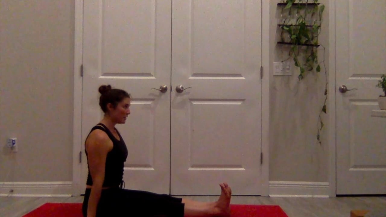 90 Minute Class - Flight of the Birds