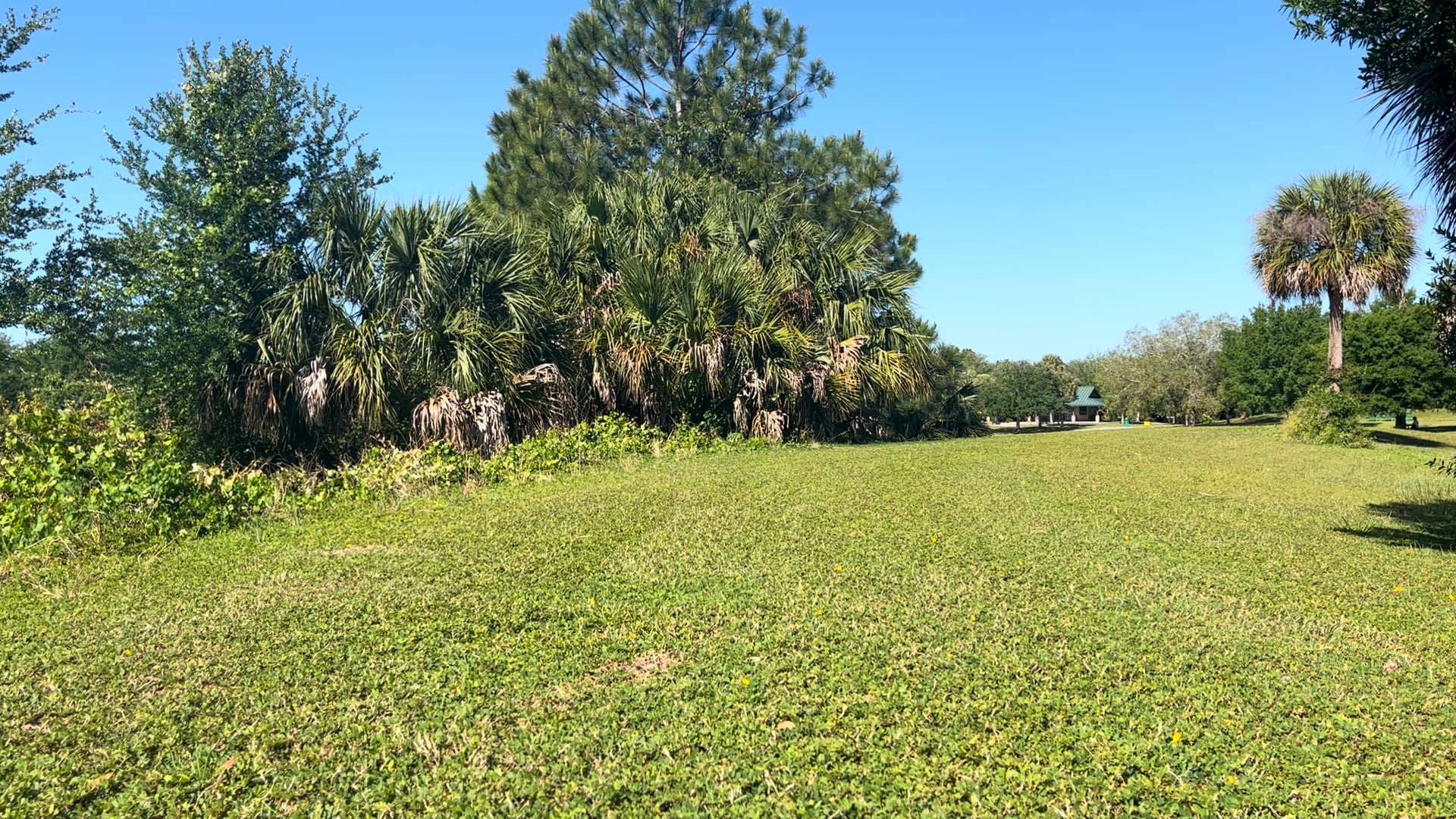 20 Minute Wrist Free Flow