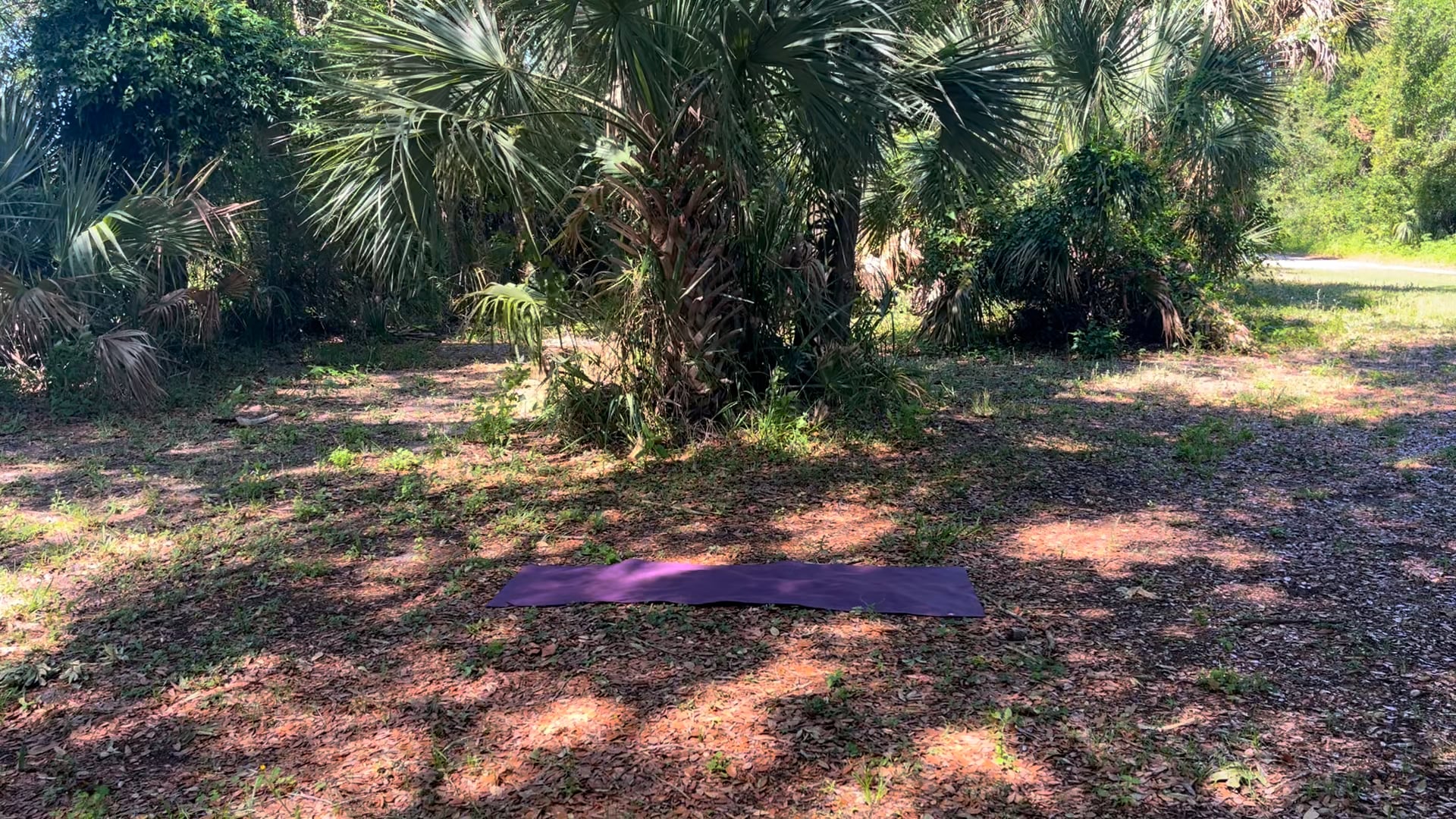 20 Minute Wrist Free Flow