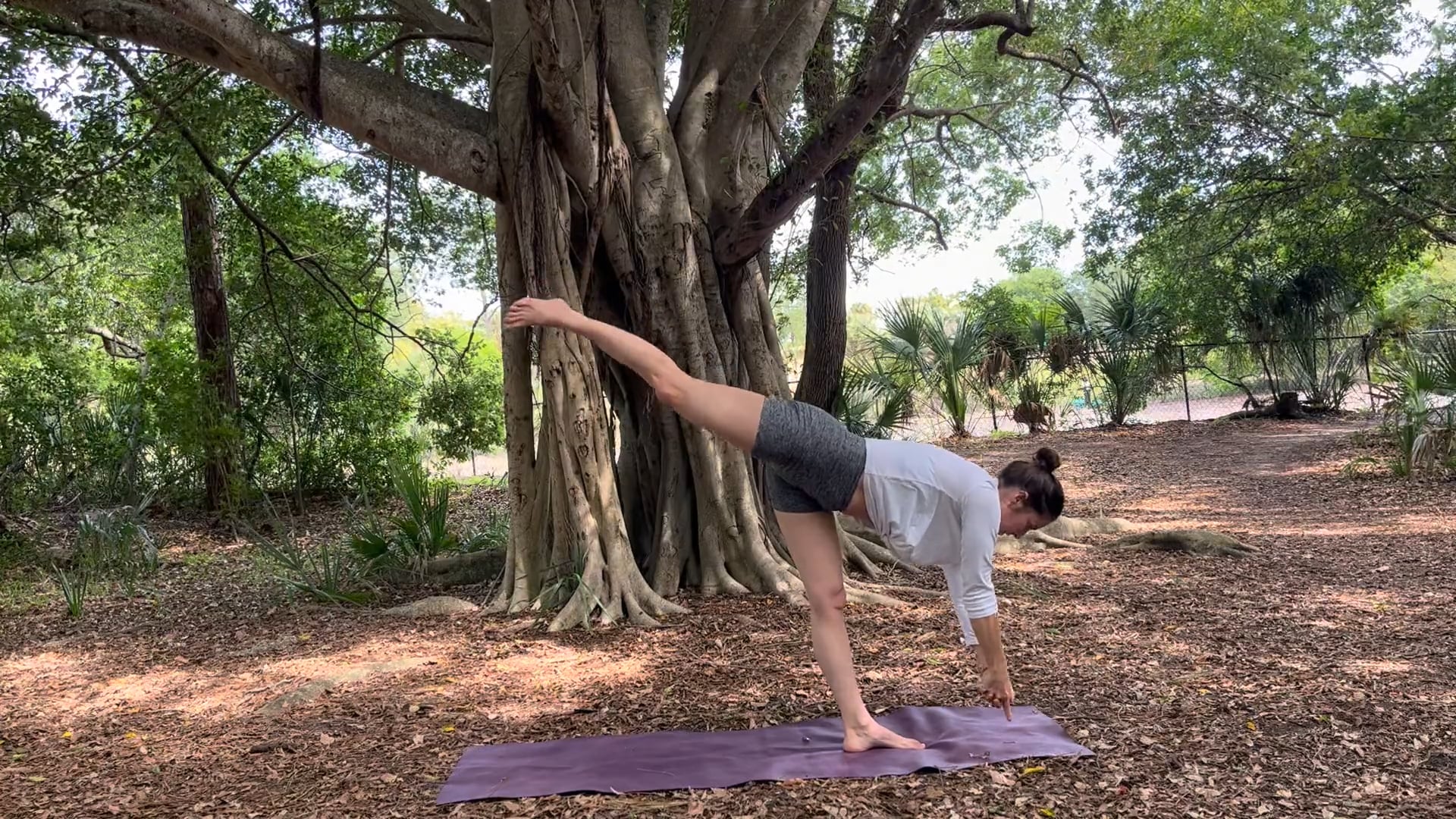 Strength and Stamina