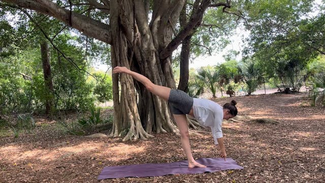 Strength and Stamina