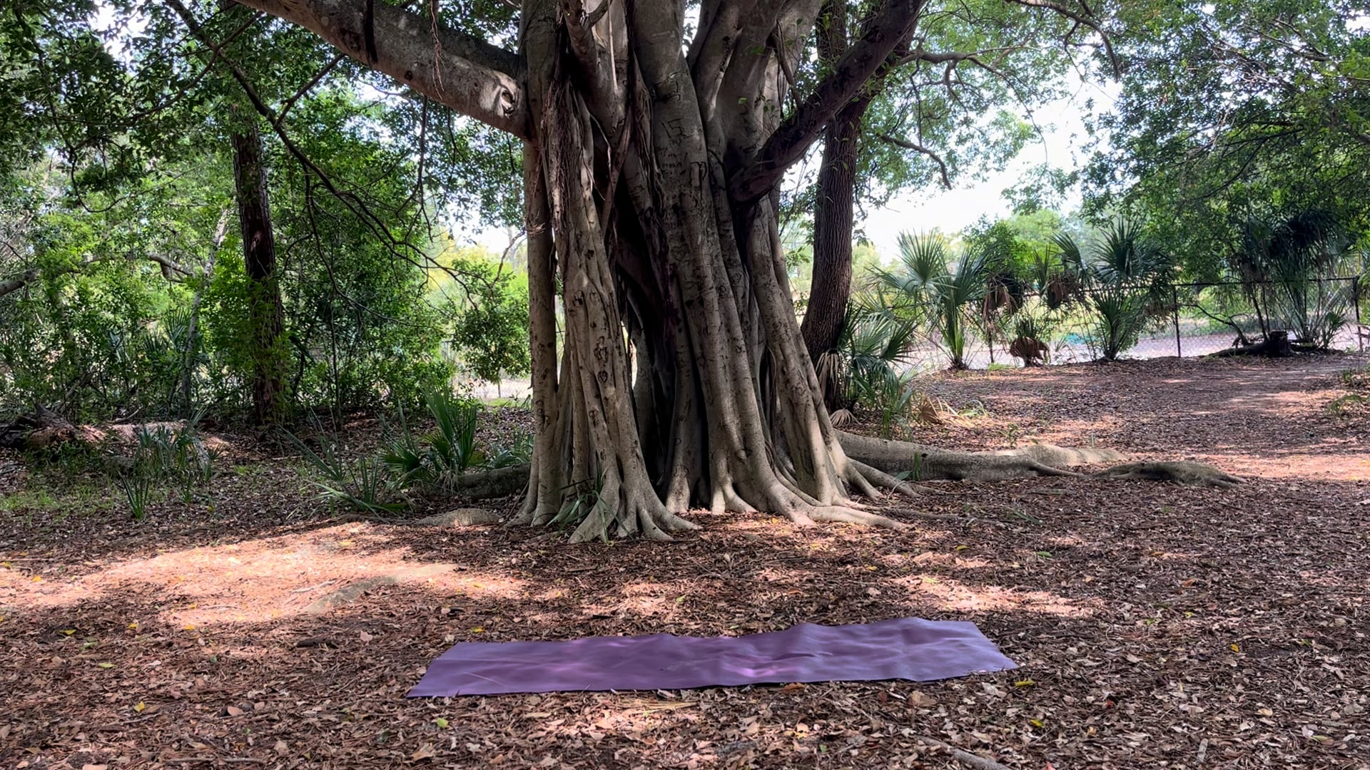 15 Minute Yoga Inspired Workout