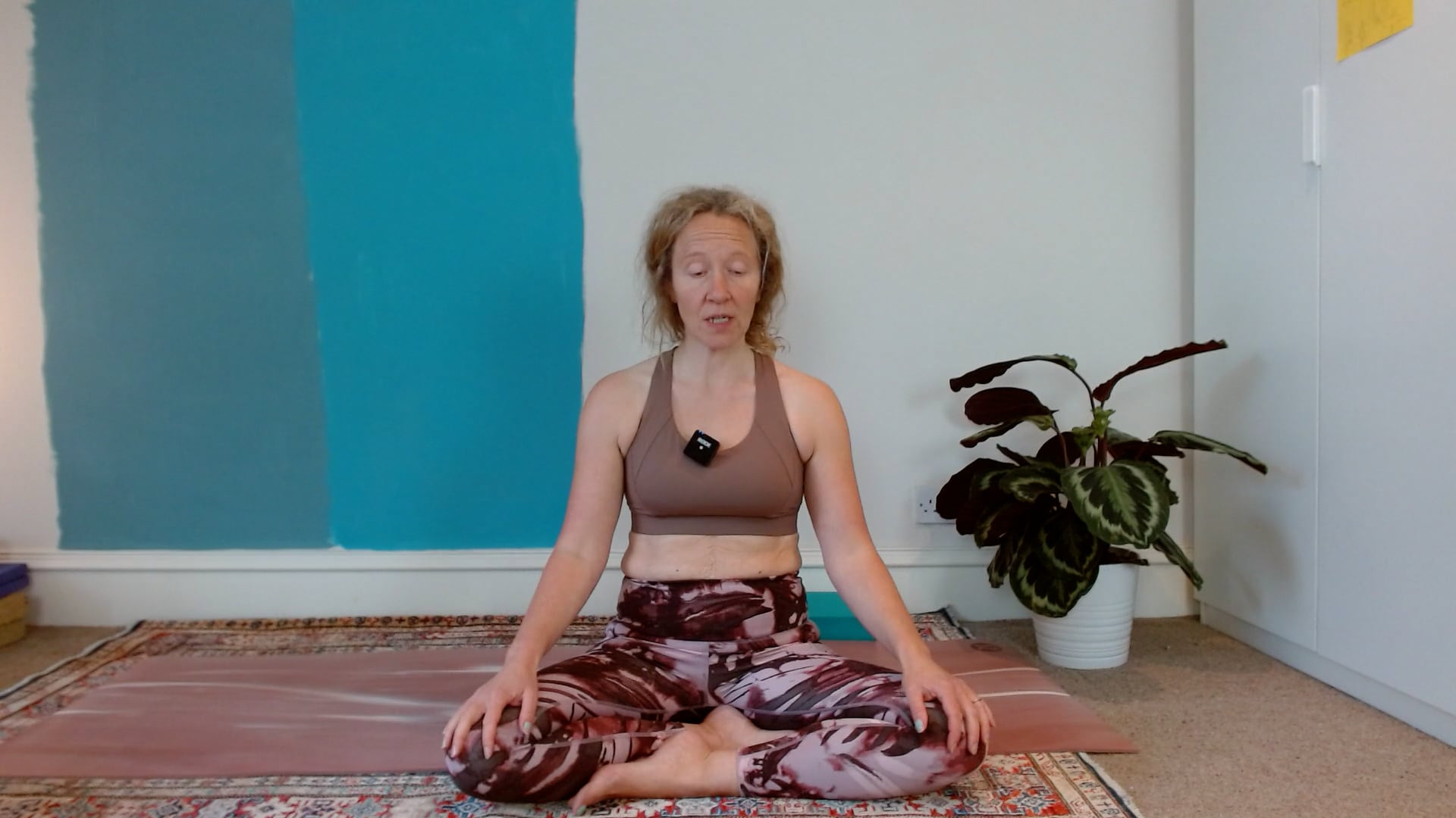Pelvic floor Workout