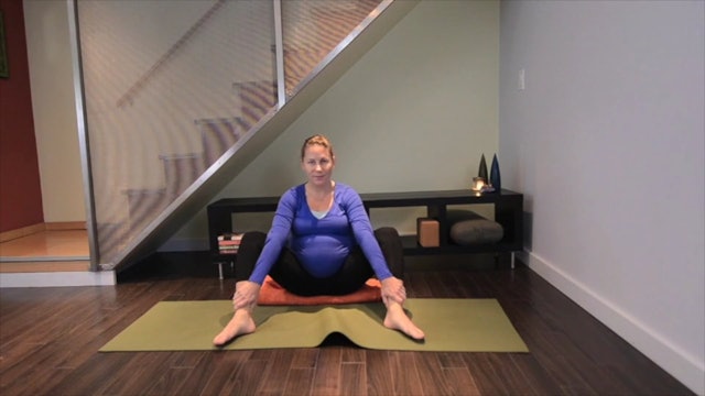 Prenatal Yoga Pelvic Opening 9 min.