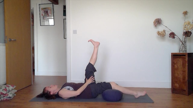 Yoga Practice - Gentle Knee Mobility