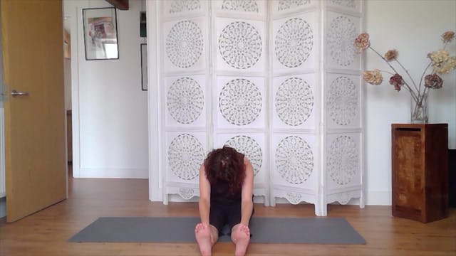 Yin Yoga - Hamstrings