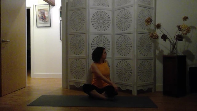 Yoga Practice - Exploring Twists
