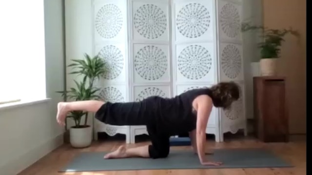 Yoga Practice - Hamstrings