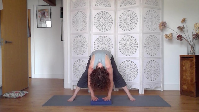 Yoga Practice - Gentle Dynamic & Cooling 