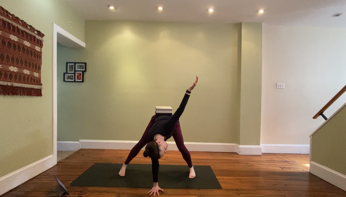 Happy Healthy Hamstrings 