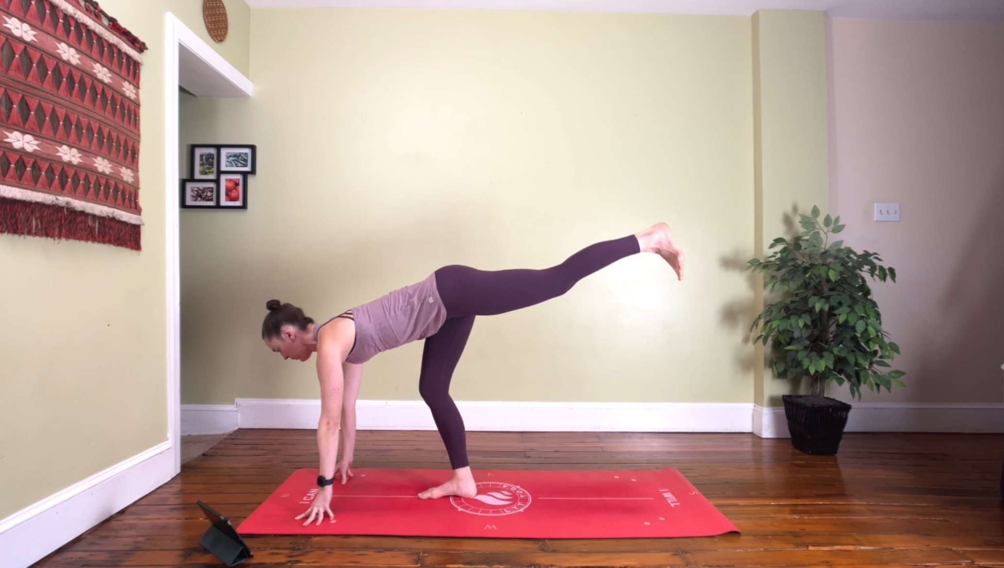 In & Through the Body 