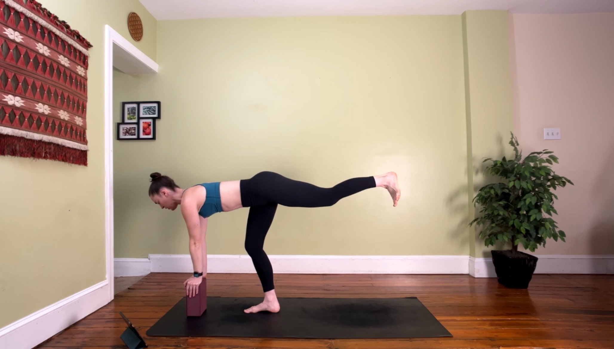 The Hamstring-Tricep Connection 