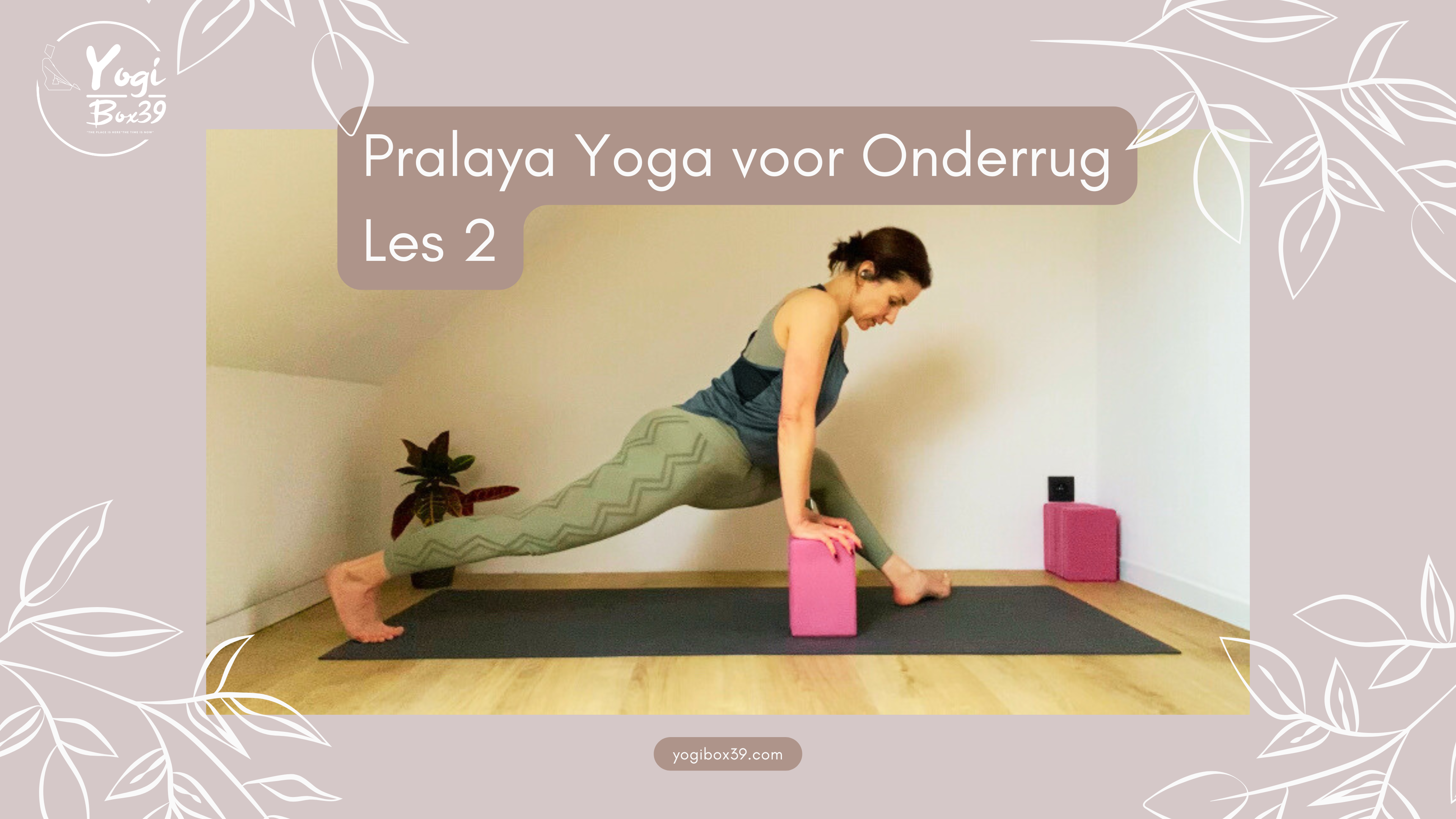 Pralaya yogareeks voor onderrug | Les 2