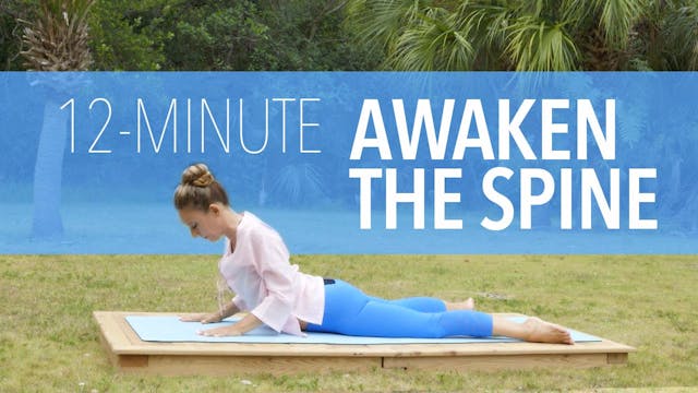 Awaken the Spine
