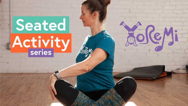 Seated Activity Series