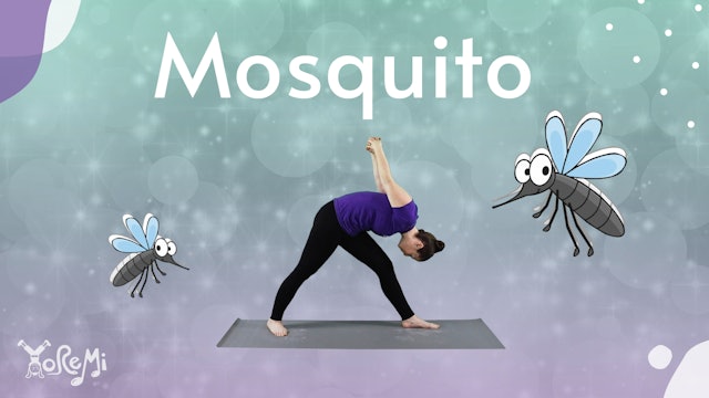 Mosquito (Pyramid Pose)