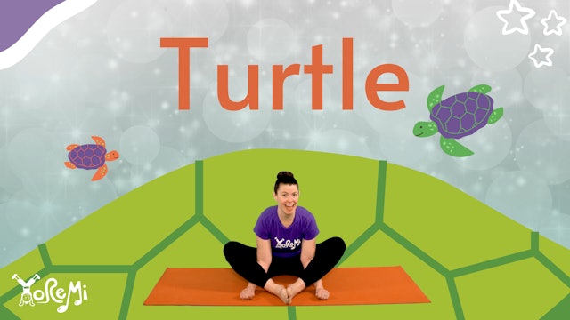 Turtle (Turtle Pose)