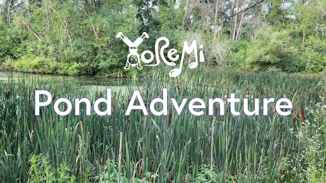 Pond Adventure