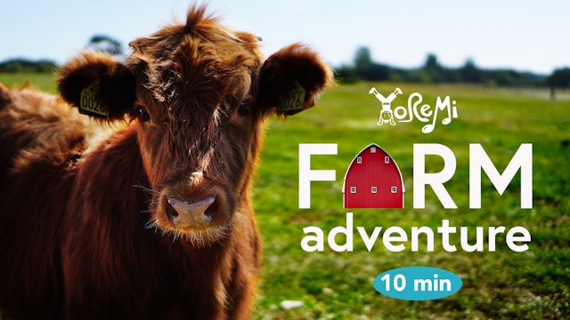 Farm Mini Adventure