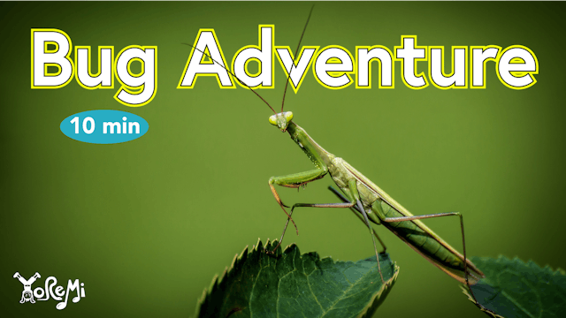 Bug Adventure - 10 Minutes