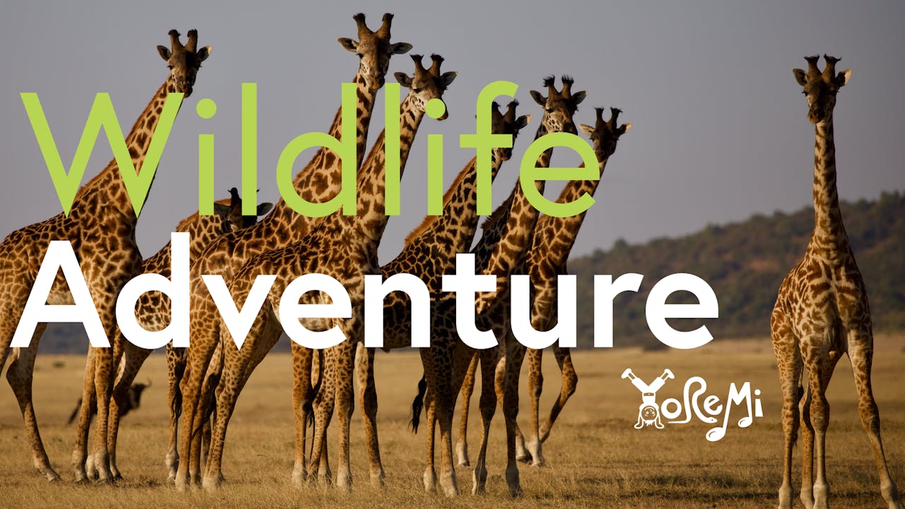 Wildlife Adventure - Adventures - Yo Re Mi