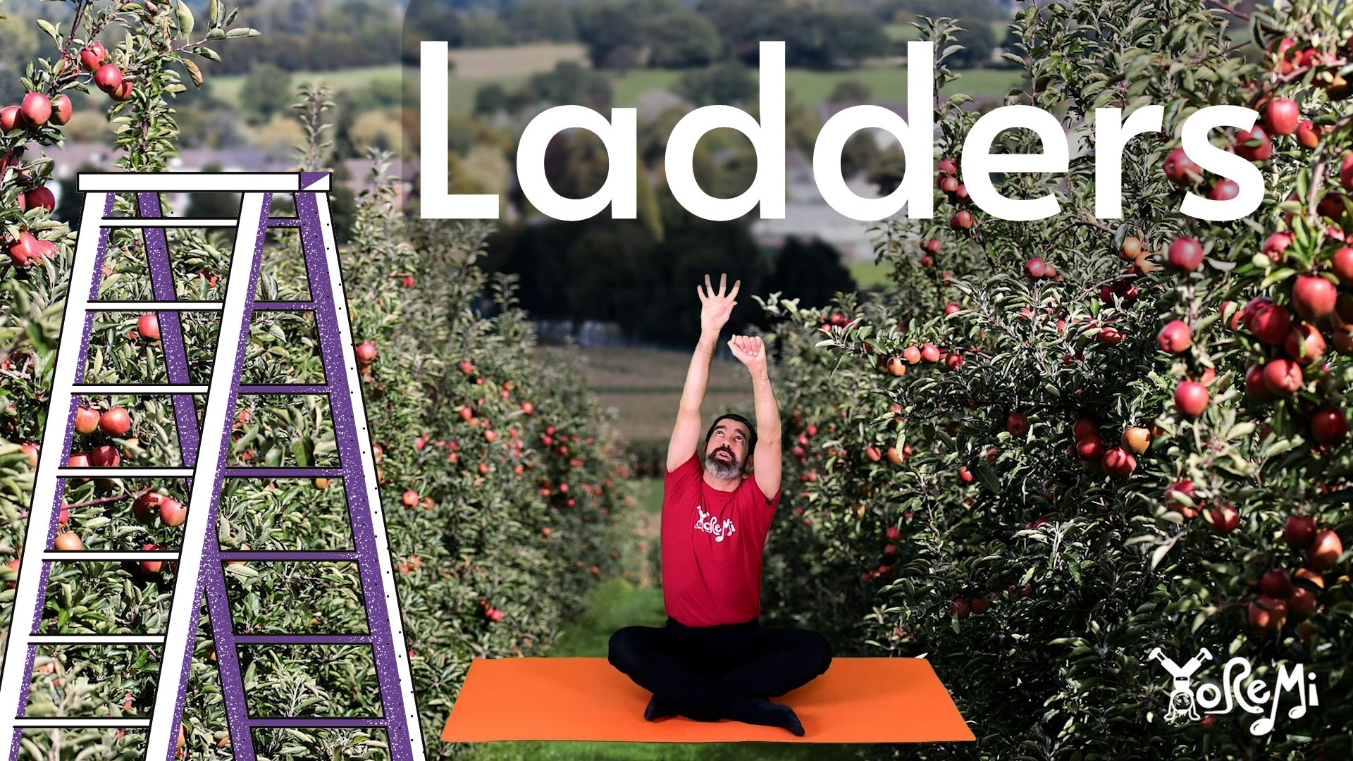 Ladders (Gross Motor and Pitch)