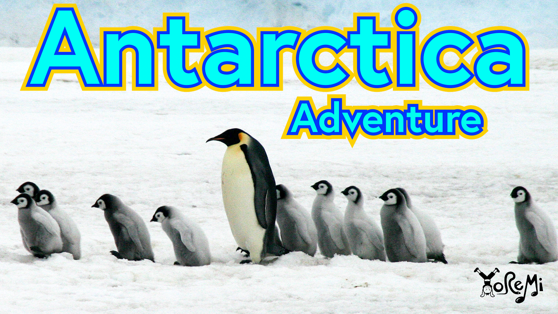 Antarctica Adventure