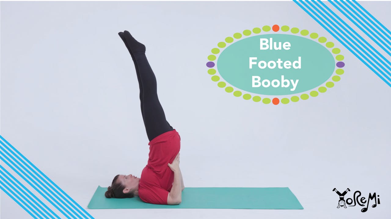 Blue Footed Booby (Fish Pose & Candle Pose) - Activities - Yo Re Mi