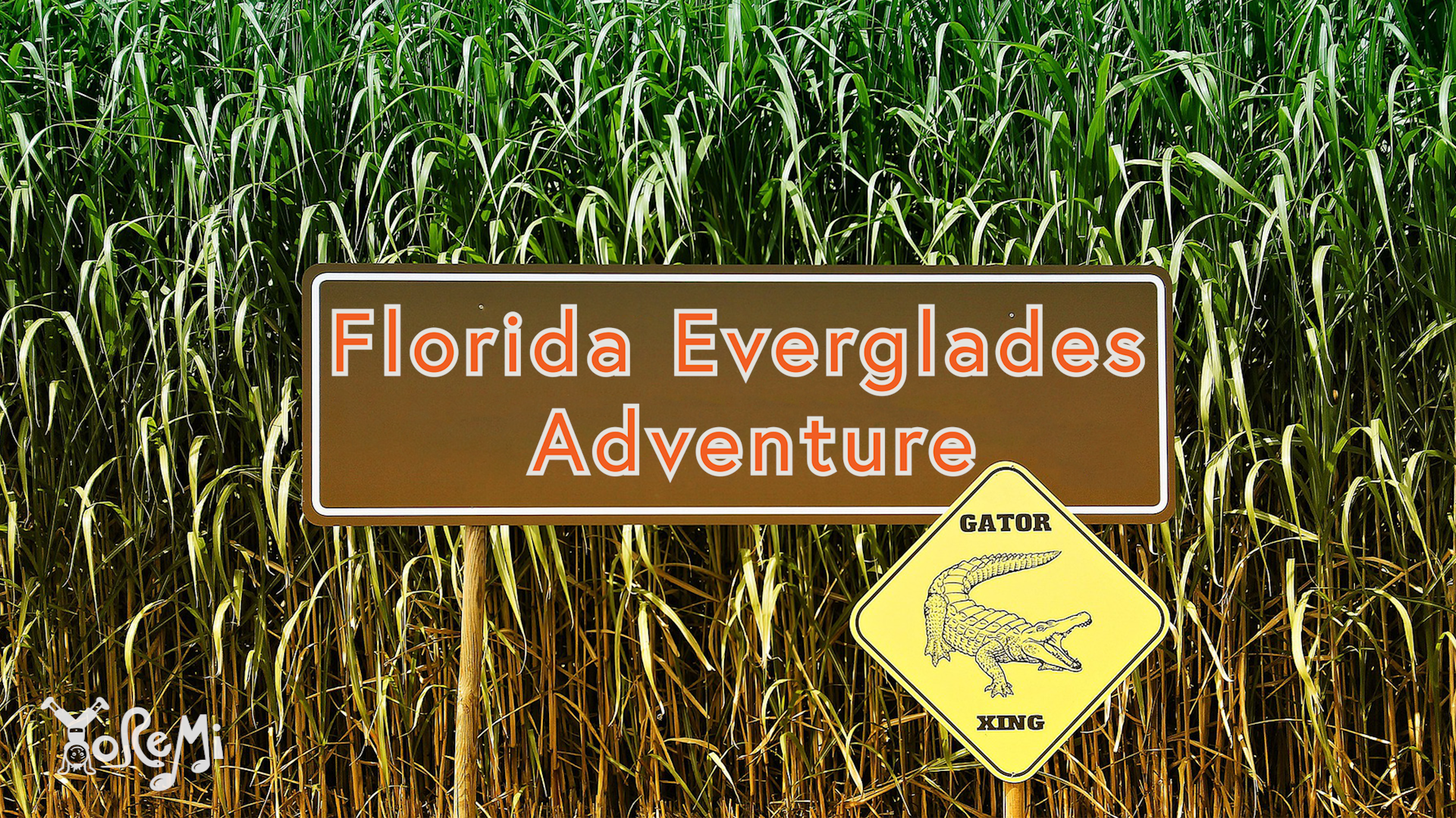 Florida Everglades Adventure