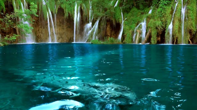 Waterfall in Forest