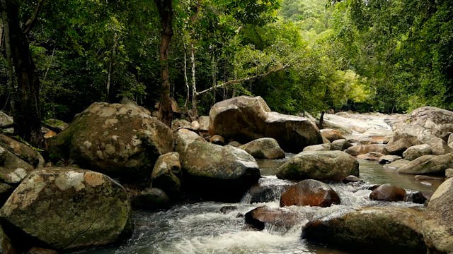 In The River