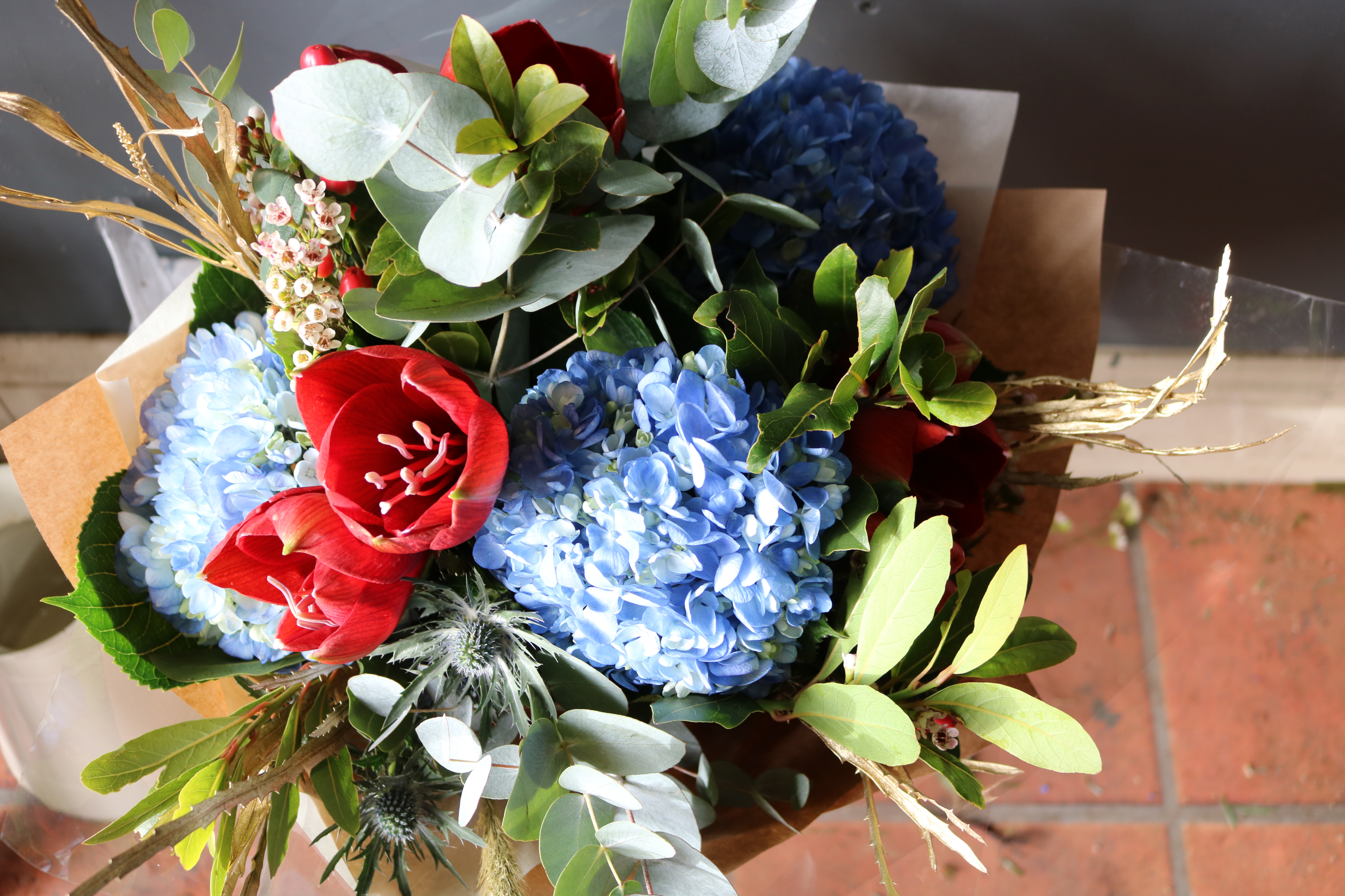 Amaryllis in handties 