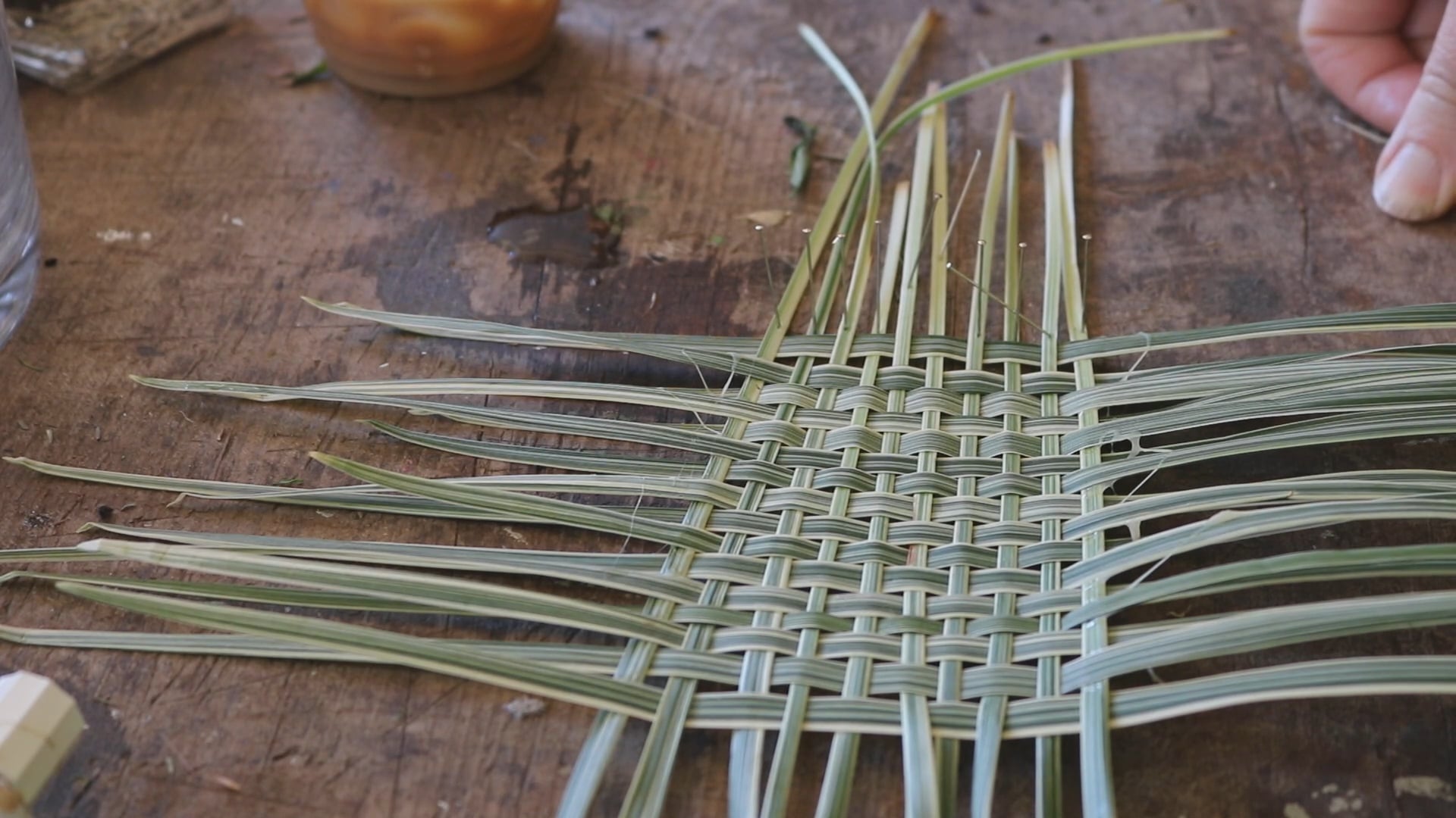 Weaving foliage