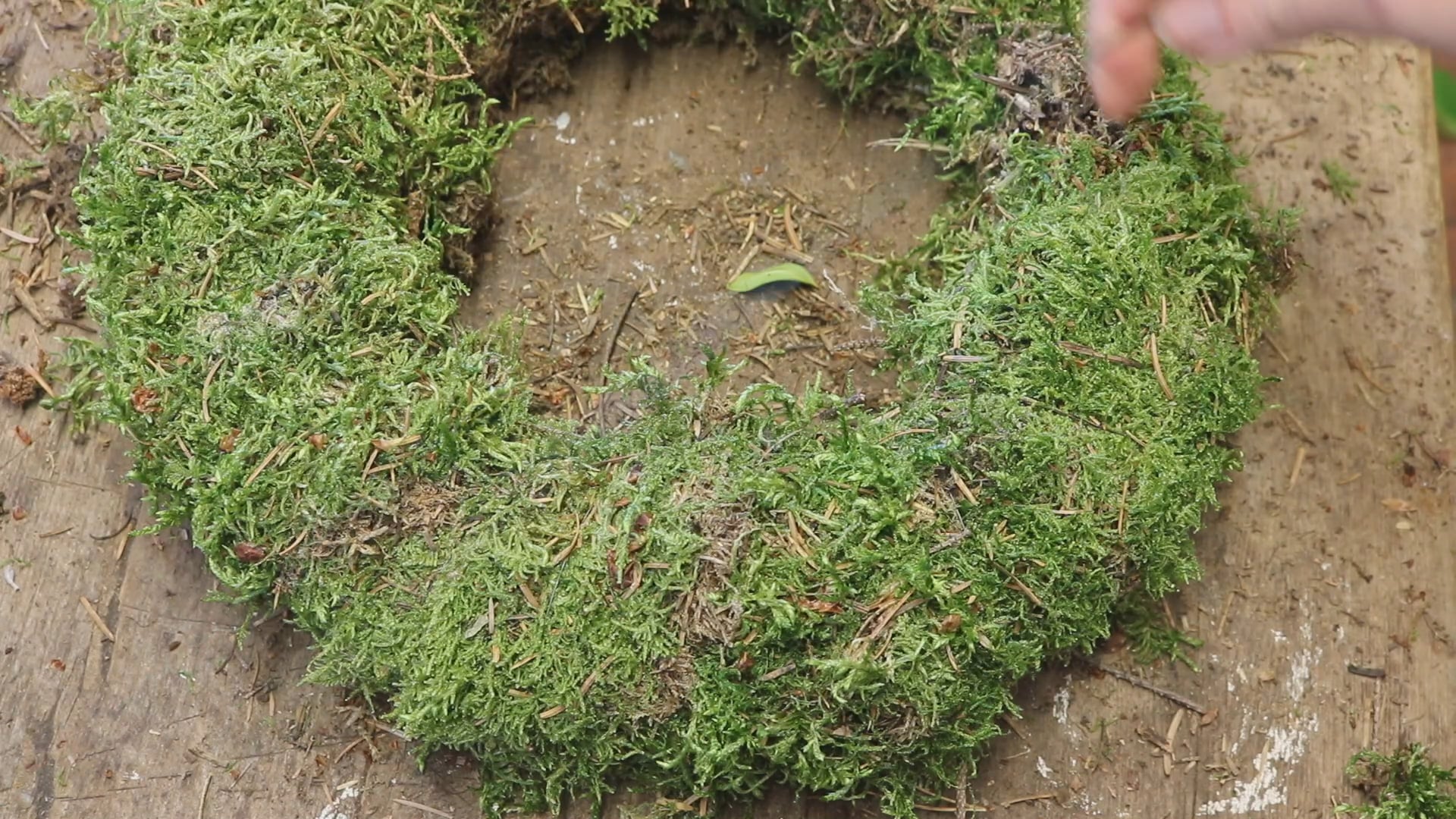 How to make a Christmas Wreath