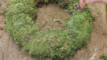 Young Blooms Floristry School Video