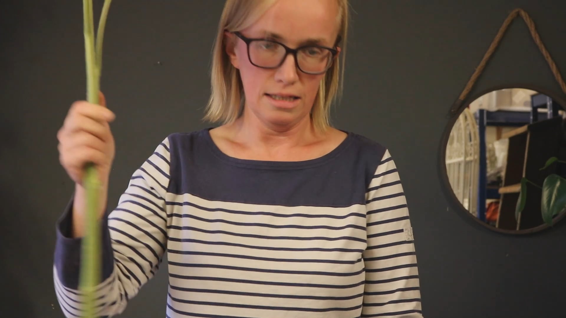 Understaning flower shapes