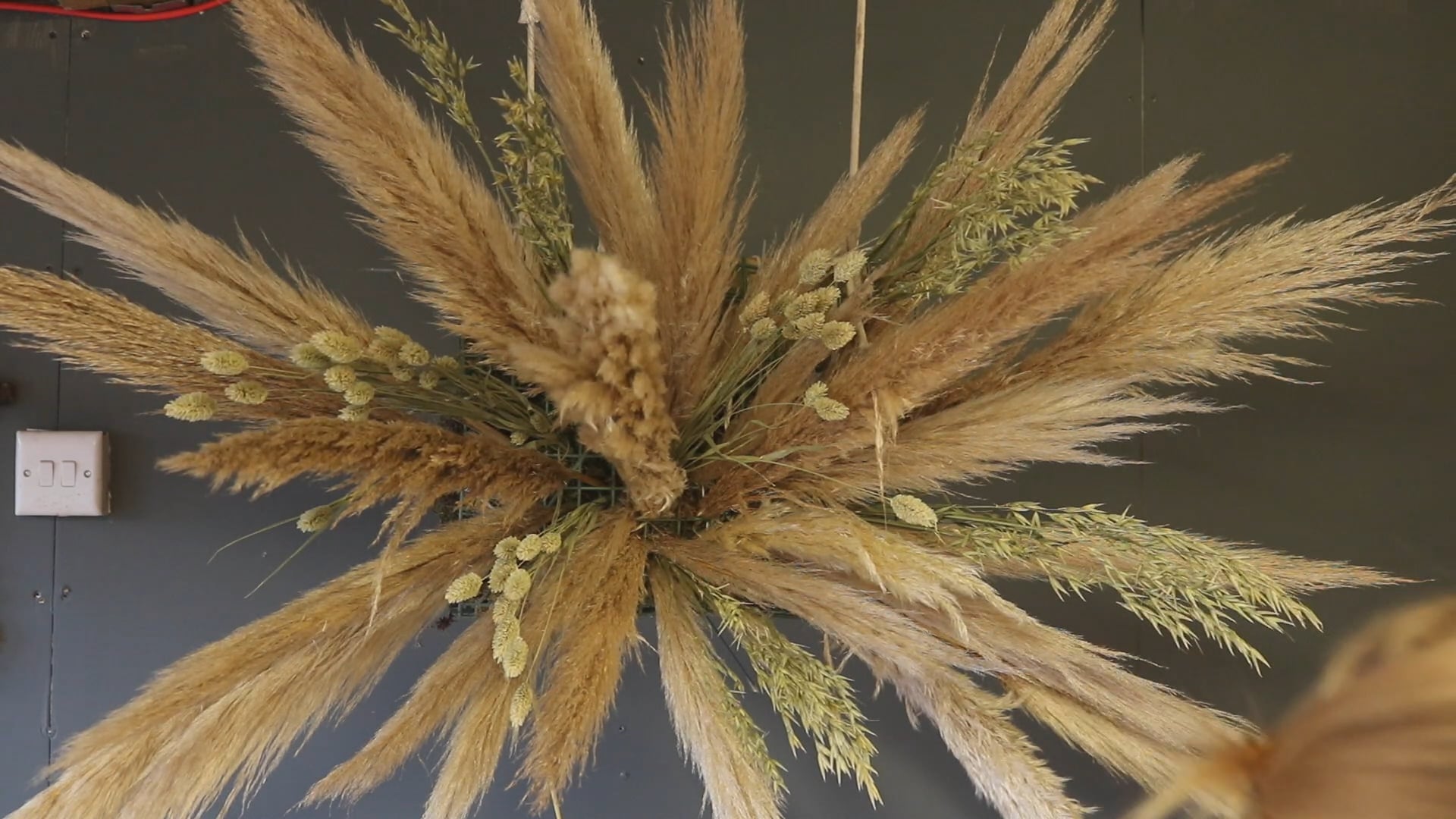 Using pampas grass