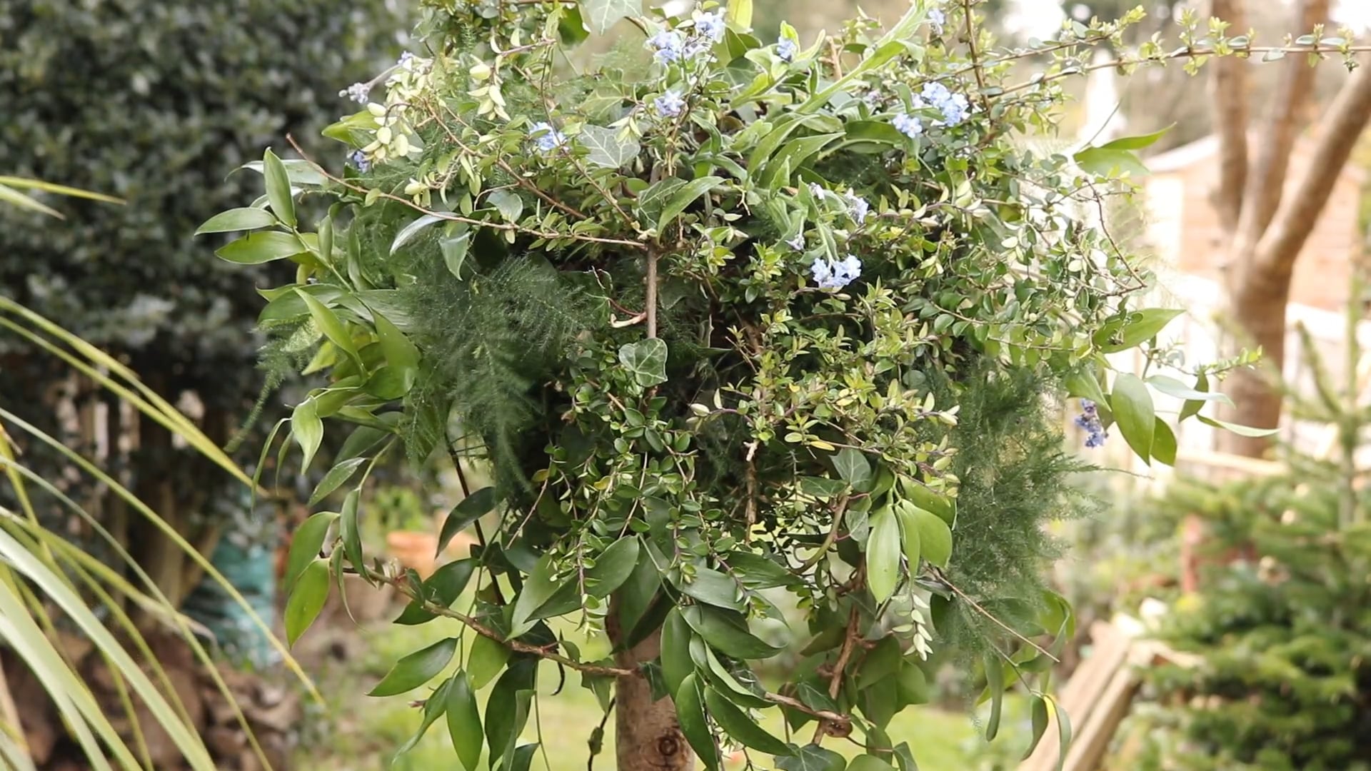 Making a Topiary Tree