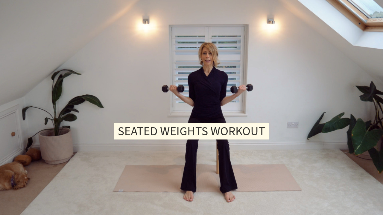 Seated Weights Workout